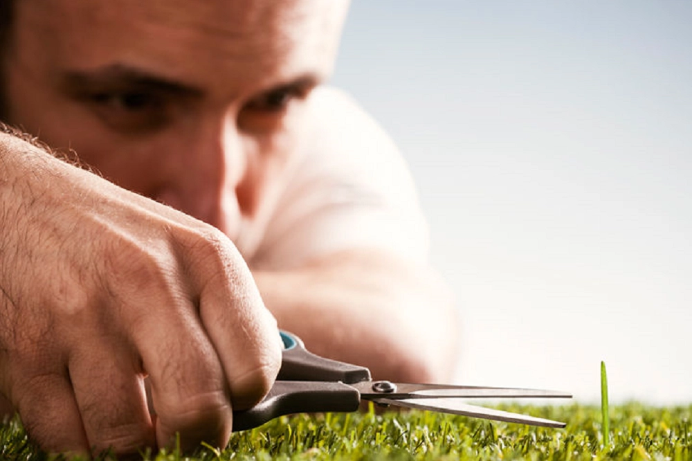 Man carefully trimming a single blade of grass with scissors, symbolizing perfectionism or meticulous focus