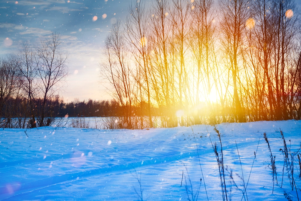 Bright winter sunrise shining through leafless trees over a snowy landscape