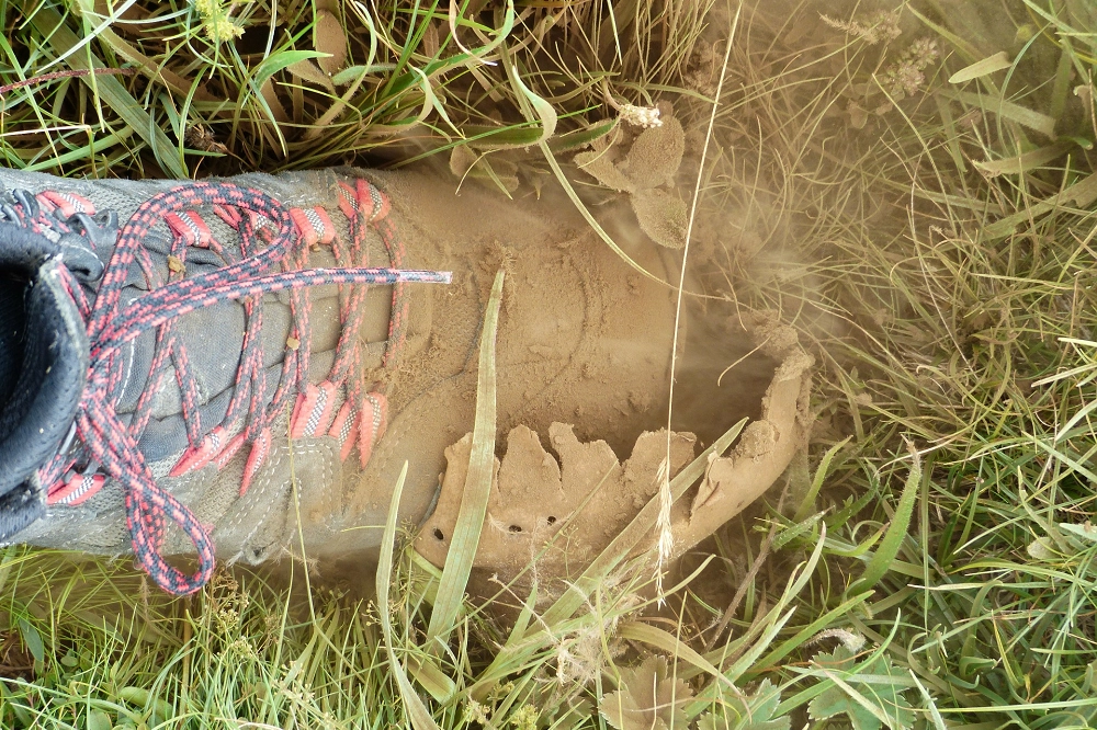 Close-up of a muddy hiking boot stepping on dirt and grass, kicking up dust outdoors